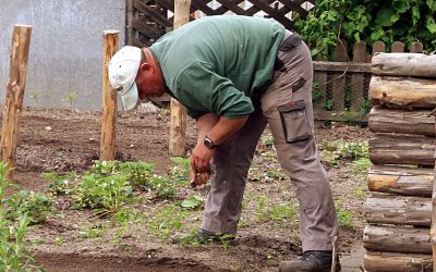 Arbeitsgelegenheiten