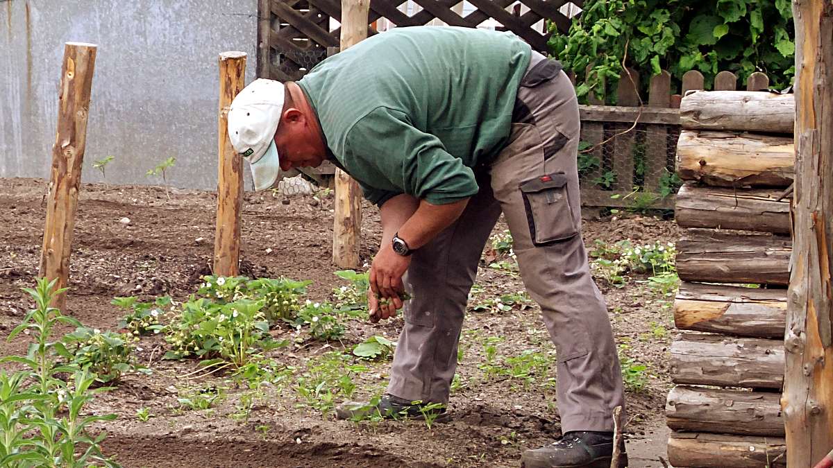 Arbeitsgelegenheiten