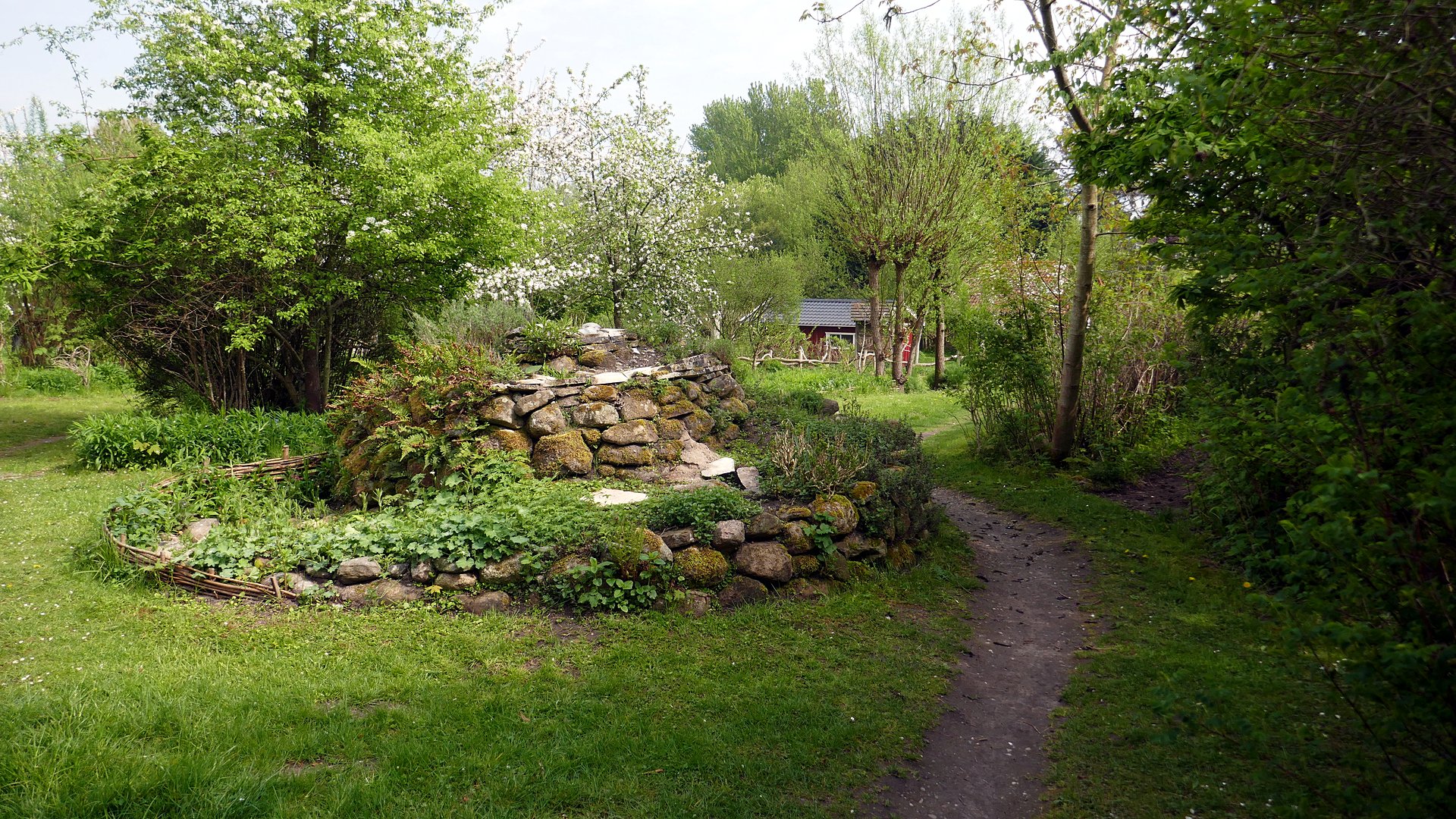 Eichhörnchen-Schutzstation