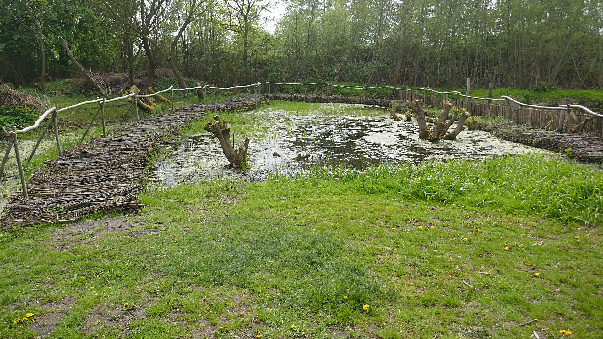 Eichhörnchen-Schutzstation