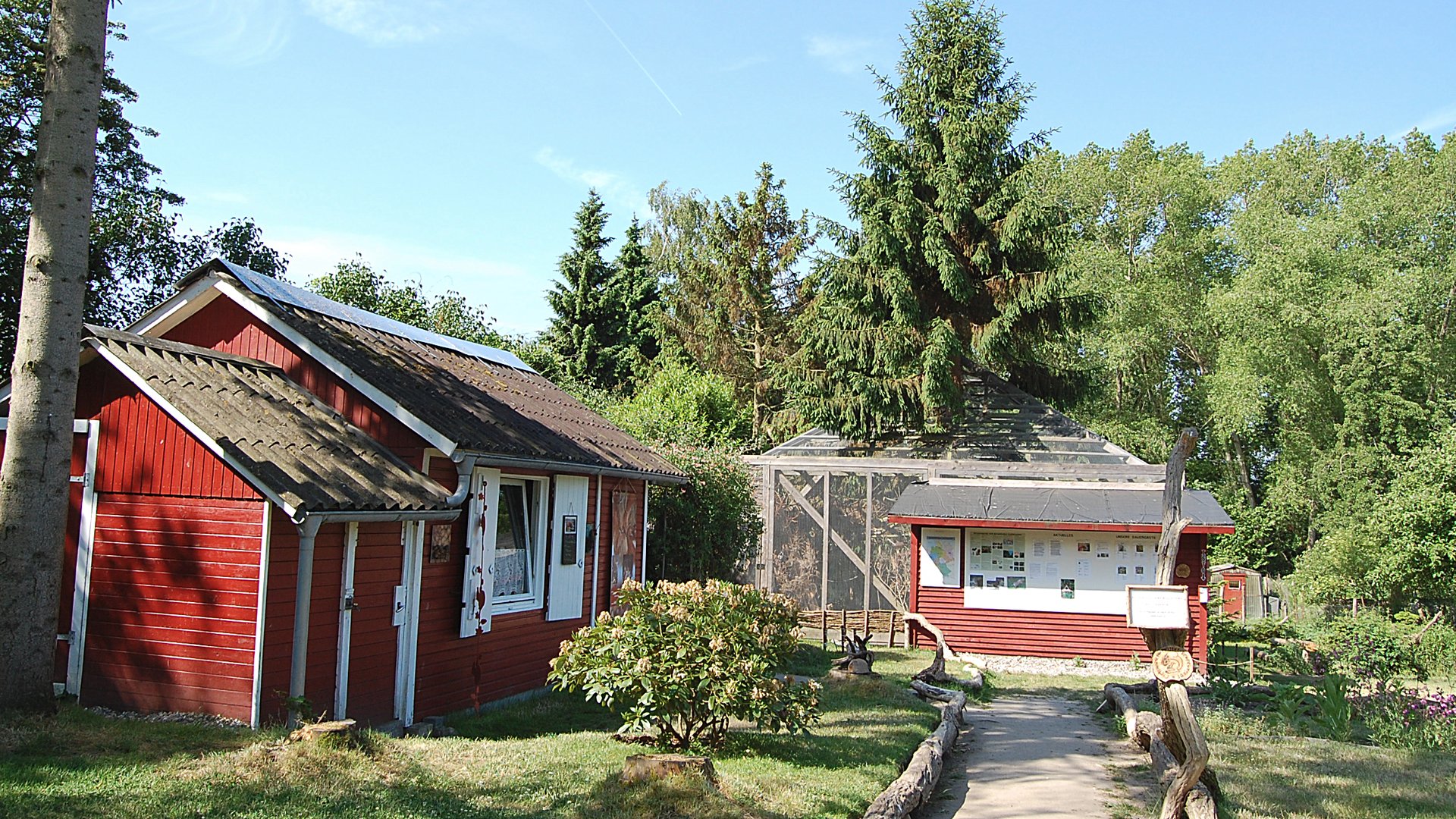 Eichhörnchen-Schutzstation