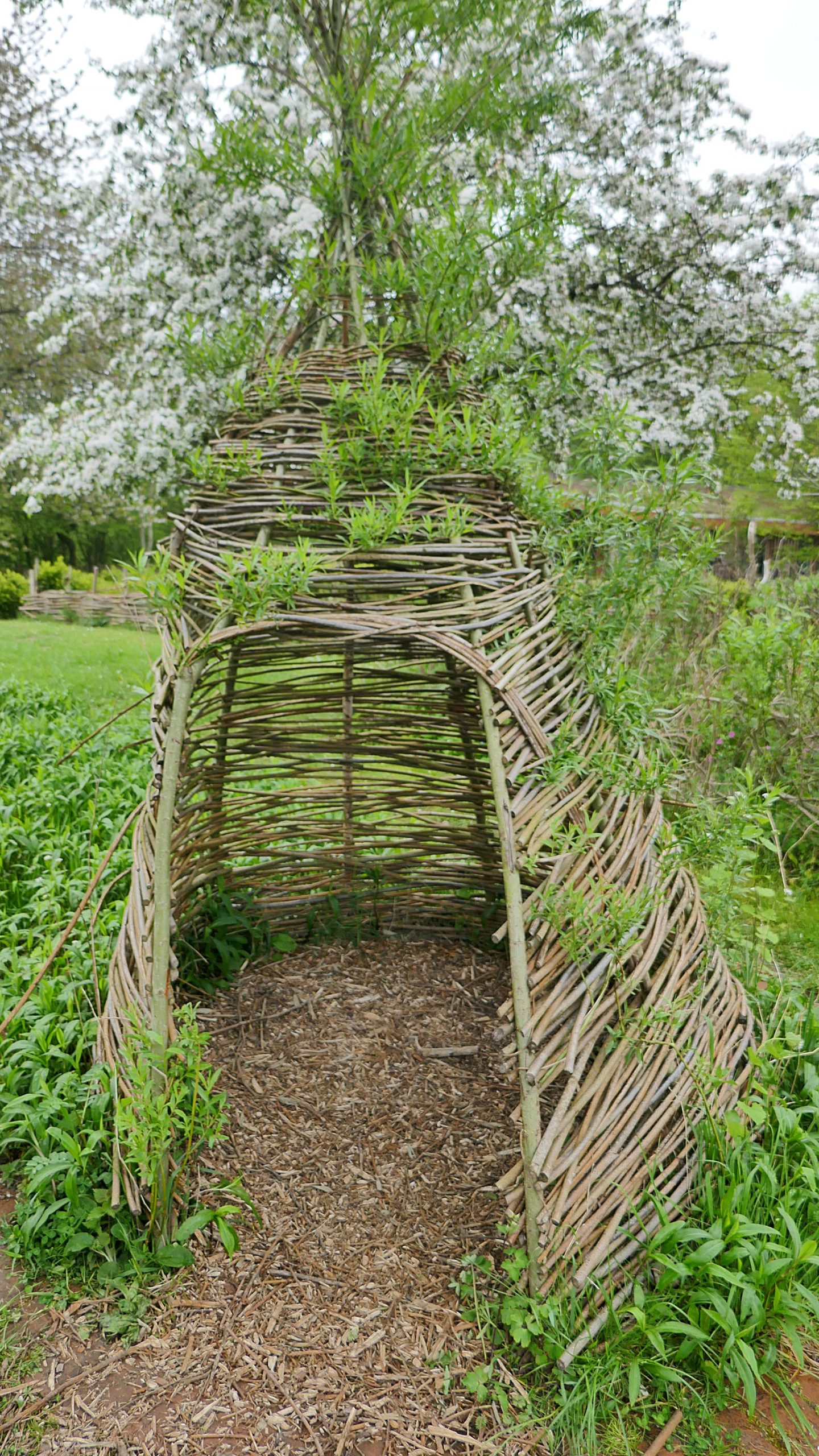 Eichhörnchen-Schutzstation