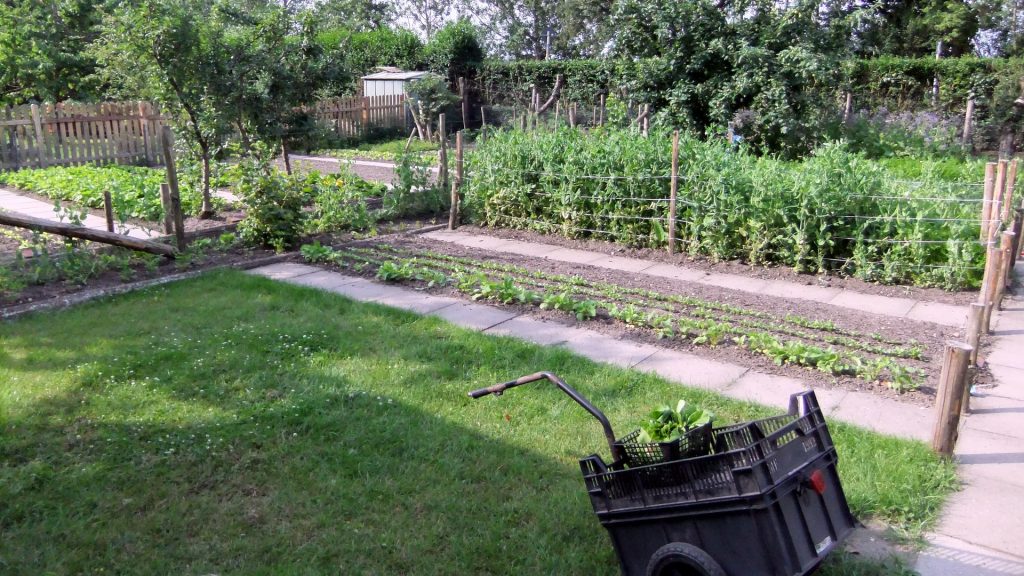 Sozialgärten Eckernförde