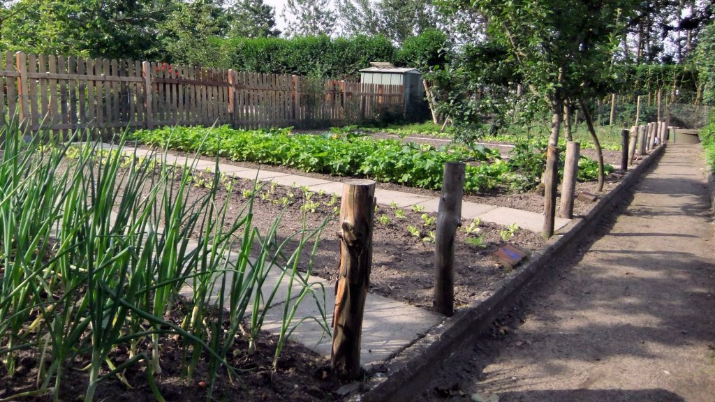 Sozialgärten Eckernförde