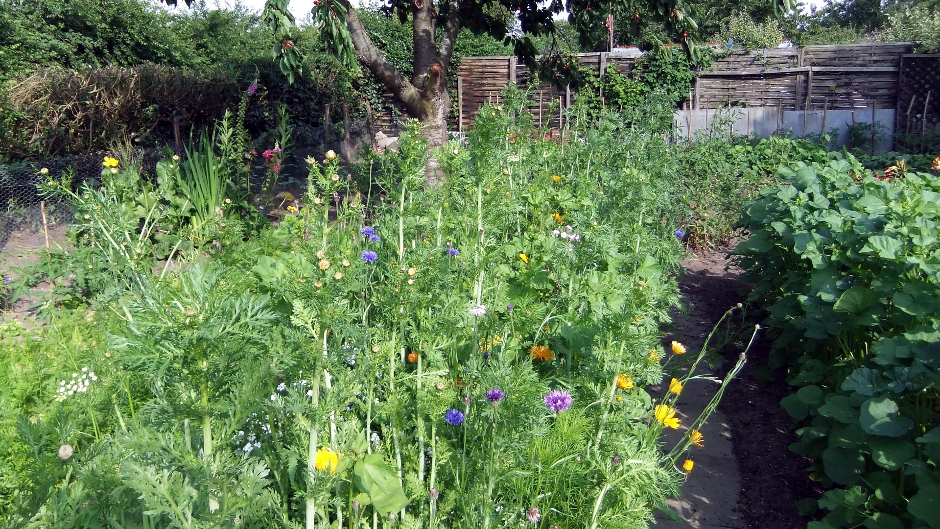 Sozialgärten Eckernförde