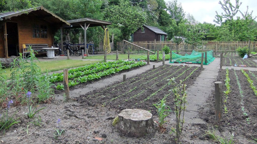 Sozialgärten Eckernförde